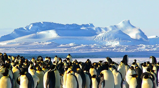 British-Antarctic-Survey-min.jpg