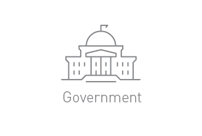 Government