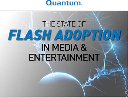 E-book: The State of Flash Adoption in Media & Entertainment